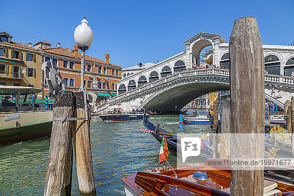 View of Rialto Bridge  Grand Canal and boats  Venice  UNESCO World Heritage Site  Veneto  Italy  Europe