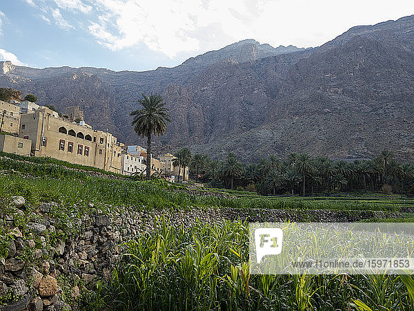 Bilad Sayt  ein Bergdorf im Al-Hajar-Gebirge  Sultanat Oman  Naher Osten