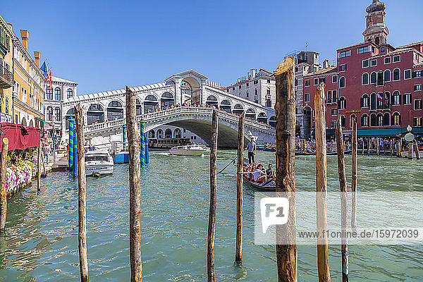 Blick auf Rialtobrücke  Canal Grande und Restaurants  Venedig  UNESCO-Weltkulturerbe  Venetien  Italien  Europa