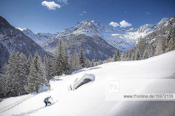 Junger Skifahrer im Neuschnee auf dem Vormarsch  Chiareggio  Valmalenco  Valtellina  Lombardei  Italien  Europa