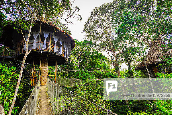 Eines der Baumhäuser in der Tree House Lodge im Amazonasdschungel  Peru  Südamerika