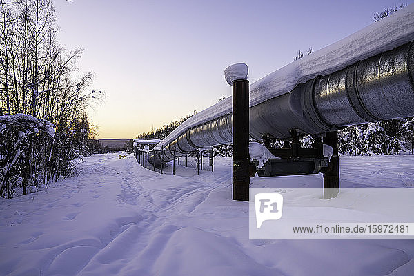 Trans-Alaska-Pipelinesystem  Fairbanks  Alaska  Vereinigte Staaten von Amerika  Nordamerika