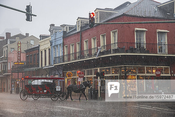 A horse dashes along the street trying to escape a sudden downpour during a storm in New Orleans. French Quarter  New Orleans  Louisiana  United States of America  North America
