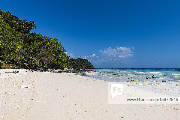 White sand beach and turquoise water  Koh Rok  Mu Ko Lanta National Park  Thailand  Southeast Asia  Asia