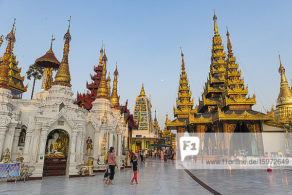 Shwedagon-Pagode bei Sonnenuntergang  Rangoon (Rangoon)  Myanmar (Burma)  Asien