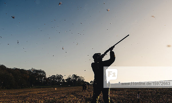In einem Feld stehendes Gewehr mit um ihn herum fallenden Vogelfedern  Vereinigtes Königreich  Europa