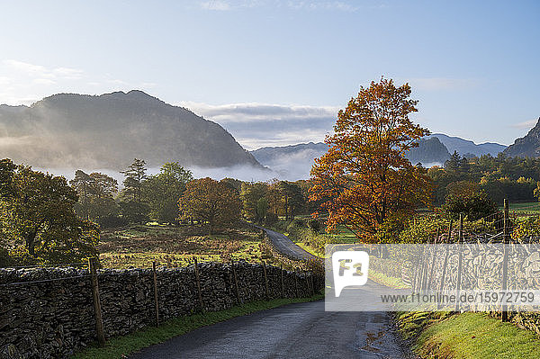 Herbstszene mit Morgennebel im Herbst  Borrowdale  Lake-District-Nationalpark  UNESCO-Weltkulturerbe  Cumbria  England  Vereinigtes Königreich  Europa