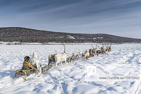 Friendly Evenc family on sledges pulled from reindeers  Oymyakon  Sakha Republic (Yakutia)  Russia  Eurasia