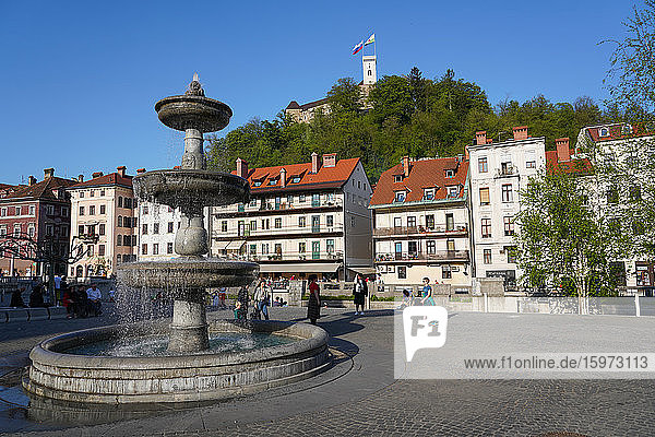 Brunnen auf dem Neuen Platz  Vodnjak na Novem trgu  Ljubljana  Slowenien  Europa