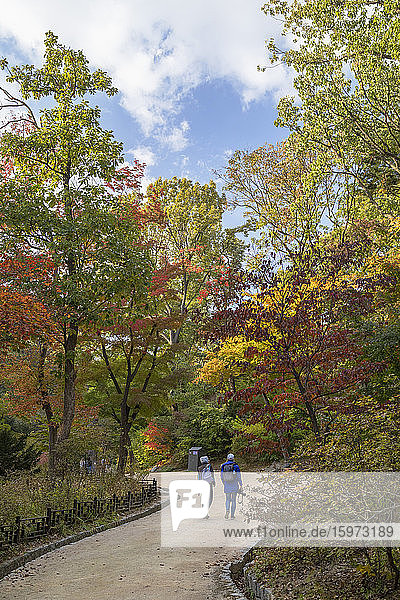 Geheimer Garten im Changdeokgung-Palast  UNESCO-Weltkulturerbe  Seoul  Südkorea  Asien