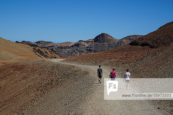 Landschaft im Teide-Nationalpark  UNESCO-Weltkulturerbe  Teneriffa  Kanarische Inseln  Spanien  Atlantik  Europa