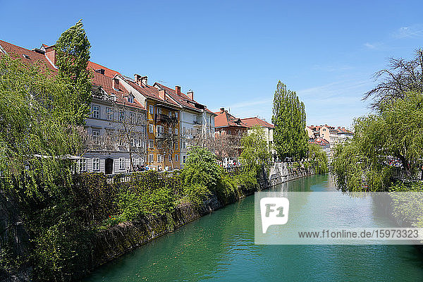 Fluss Ljubljanica  Innenstadt von Ljubljana  Slowenien  Europa