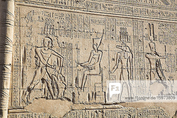 Basrelief  Aussenmauer  Khnum-Tempel  Esna  Ägypten  Nordafrika  Afrika