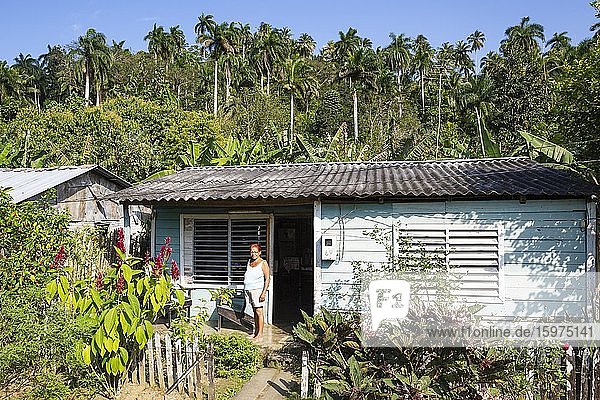 Modest rural dwelling in the lush countryside around Baracoa  Cuba  Central America
