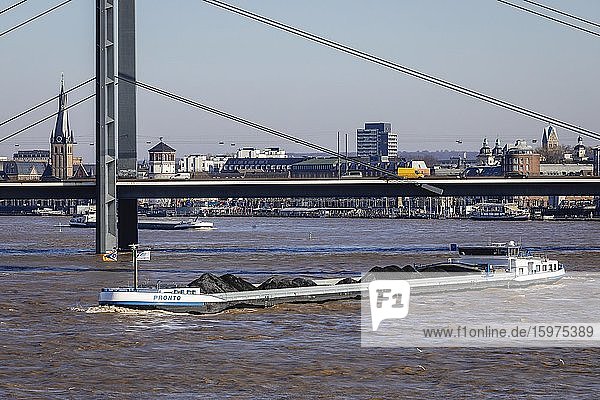 Frachter fahren bei Hochwasser auf dem Rhein unter der Rheinkniebrücke  Düsseldorf  Nordrhein-Westfalen  Deutschland  Europa