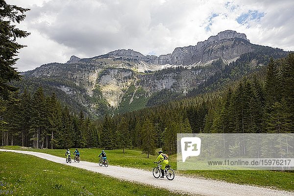 Mountain bikers at the Blaa Alm  behind it the Loser  Ausseeerland  Salzkammergut  Styria  Austria  Europe