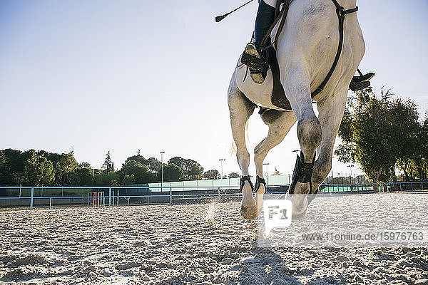 Tiefschnitt eines Mädchens  das auf einem weißen Pferd reitet  während des Trainings auf einer Ranch an einem sonnigen Tag
