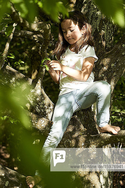Mädchen hält Blätter und sitzt auf einem Baumstamm