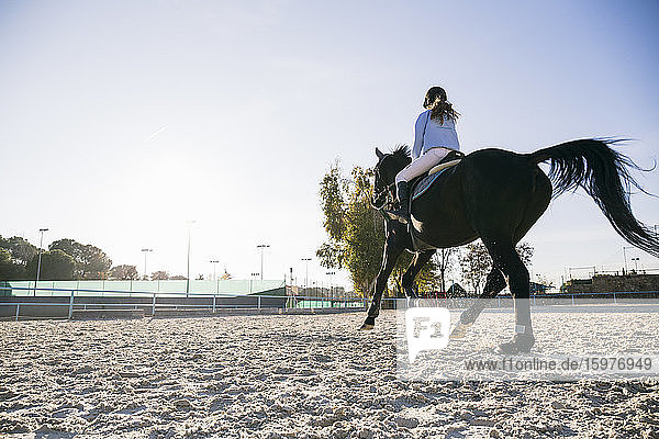 Rückansicht eines Mädchens  das auf einem Pferd auf dem Übungsplatz einer Ranch reitet  an einem sonnigen Tag