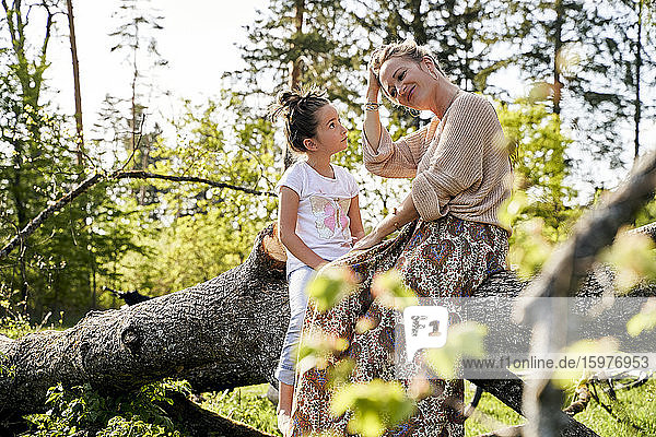 Cute girl looking at mother sitting on fallen tree in forest