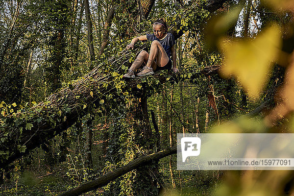 Mädchen sitzt auf einem Ast und klettert auf einen Baum im Wald