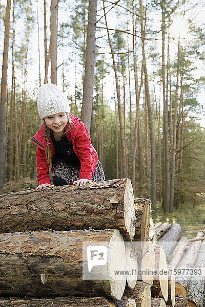 Portrait of happy little girl climbing on stack of wood in the forest