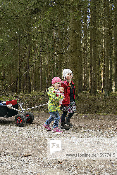 Two little sisters pulling trolley on forest track