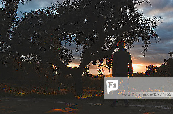 Silhouette junger Mann auf der Straße im Park bei Sonnenuntergang