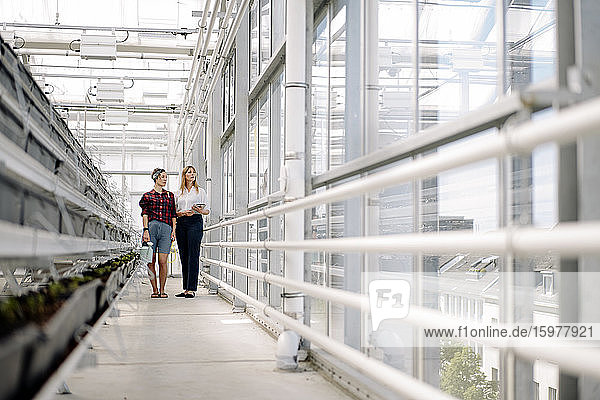 Gardener and businesswoman standing in greenhouse of a gardening shop