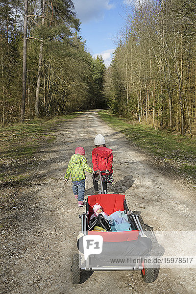 Rückansicht von zwei kleinen Schwestern  die eine Draisine auf einem Waldweg ziehen