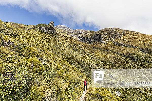 Neuseeland  Wanderin bewundert die umliegende Landschaft während einer Wanderung zum Vulkan Mount Taranaki