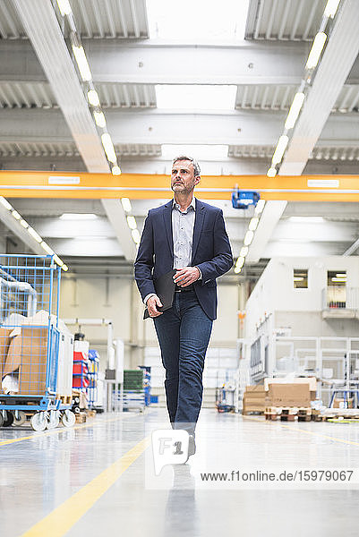 Mature businessman walking in a factory