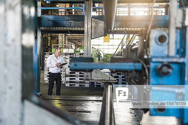 Senior businessman using tablet in a factory hall