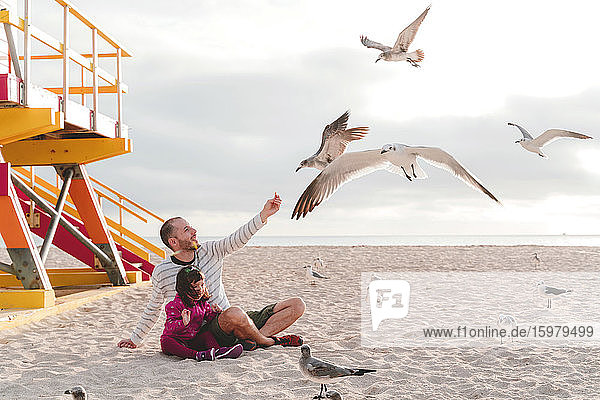 Vater füttert Möwen und sitzt mit seiner Tochter am Strand von Miami  Florida  USA