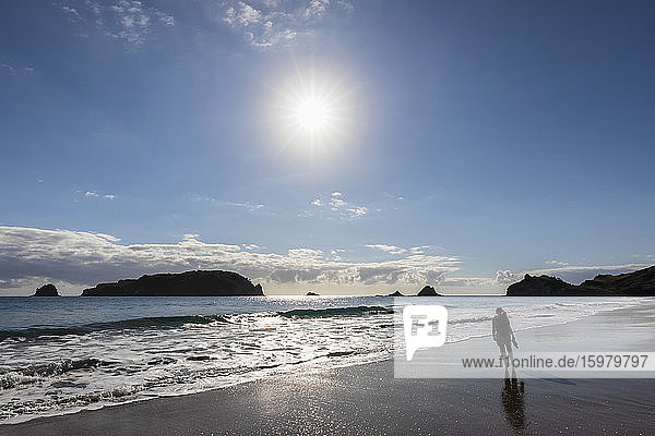 New Zealand  North Island  Waikato  Sun shining over silhouette of woman standing alone on Hahei Beach