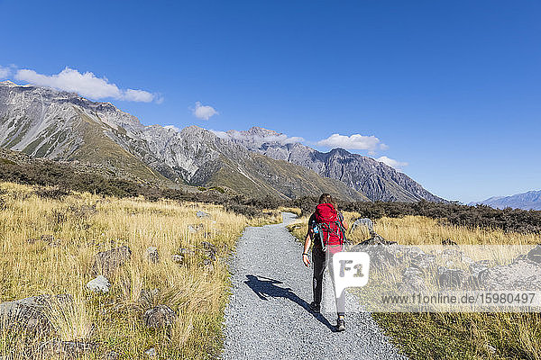 New Zealand  Oceania  South Island  Canterbury  Ben Ohau  Southern Alps (New Zealand Alps)  Mount Cook National Park  Tasman Glacier Viewpoint  Rear view of woman hiking