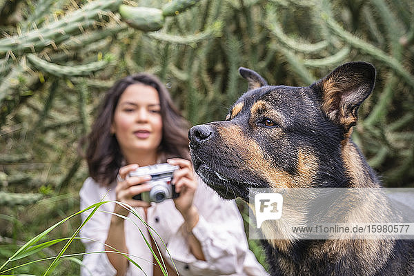 Junge Frau fotografiert Hund vor Pflanzen  Alicante  Provinz Alicante  Spanien