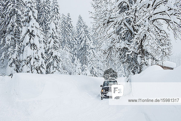 Austria  Salzburger Land  Lammertal  Car with Christmas tree on roof on snowy road