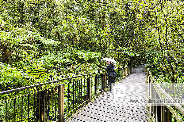 Neuseeland  Ozeanien  Südinsel  Südland  Fiordland National Park  Frau auf der Promenade The Chasm Walk