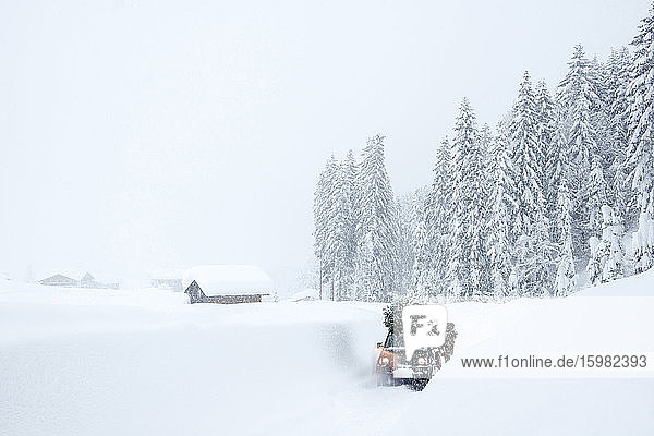 Austria  Salzburger Land  Lammertal  Man attaching Christmas tree to car roof on snowy road