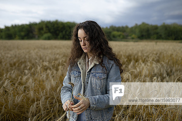 Russland  Omsk  Junge Frau steht im Weizenfeld und hält Weizen
