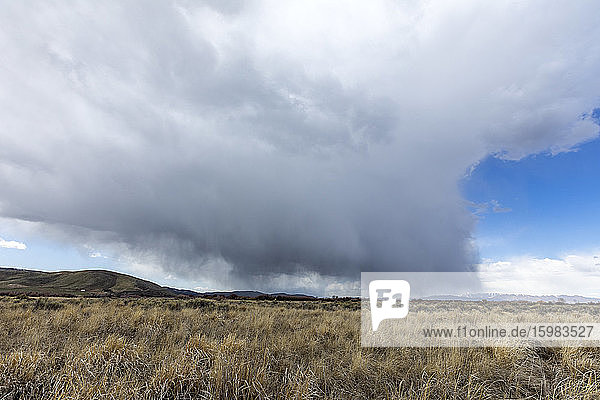 USA  Idaho  Picabo  Sturmwolken über den Feldern