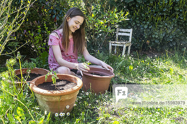 Smiling girl potting tomato plants in a garden
