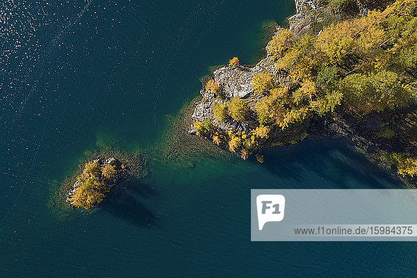 Switzerland  Canton of Grisons  Saint Moritz  Drone view of larch trees on small island in Lake Sils