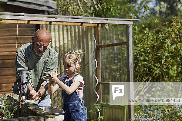 Großvater und Enkelin beim Händewaschen im Kleingarten