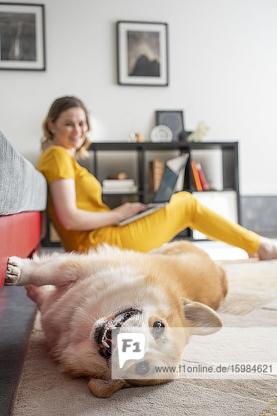 Porträt eines Hundes im Wohnzimmer mit einer Frau am Laptop im Hintergrund