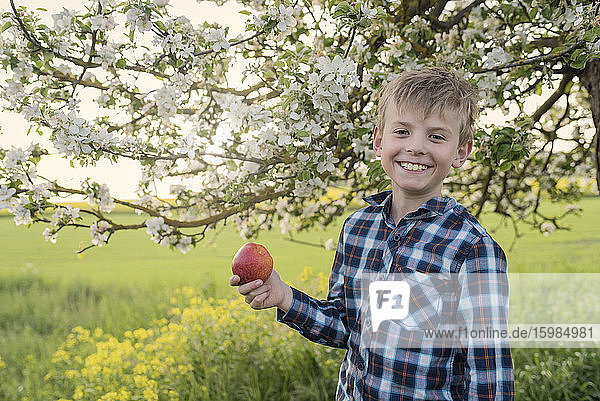 Happy blond boy holding fresh apple while standing by flowers at park