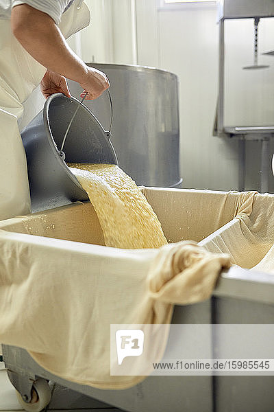 Cheese factory female worker sieving whey