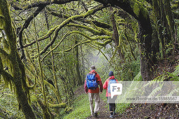 Spain  Canary Islands  La Gomera  Couple hiking along forest footpath in Garajonay National Park