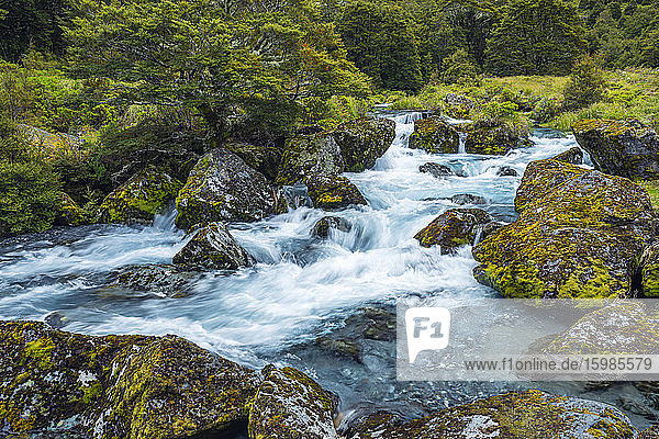 Neuseeland  Southland  Te Anau  Langzeitbelichtung des zwischen moosbewachsenen Felsen fließenden Hollyford River